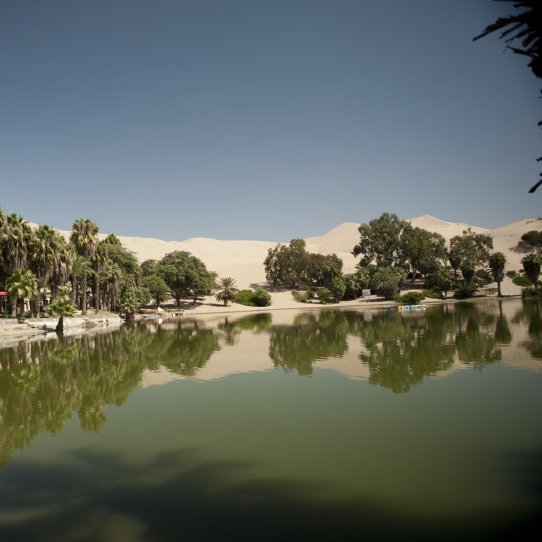 Oasis de Huacachina
